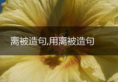 离被造句,用离被造句