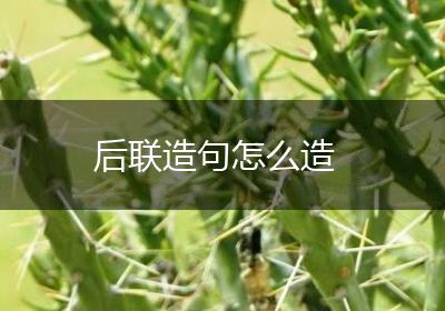 后联造句怎么造