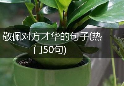 敬佩对方才华的句子(热门50句)