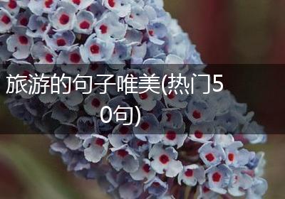 旅游的句子唯美(热门50句)