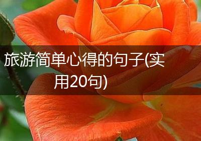 旅游简单心得的句子(实用20句)