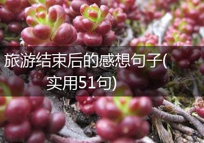 旅游结束后的感想句子(实用51句)
