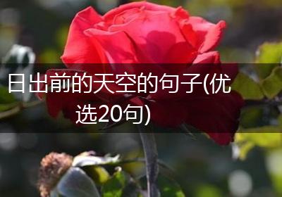 日出前的天空的句子(优选20句)