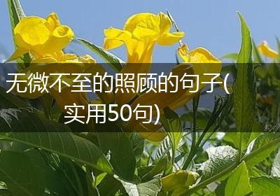 无微不至的照顾的句子(实用50句)