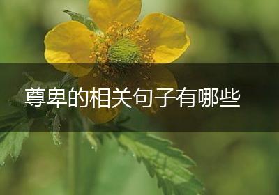 尊卑的相关句子有哪些