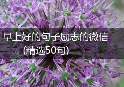 早上好的句子励志的微信(精选50句)