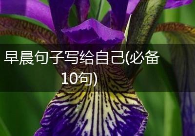 早晨句子写给自己(必备10句)