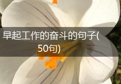 早起工作的奋斗的句子(50句)
