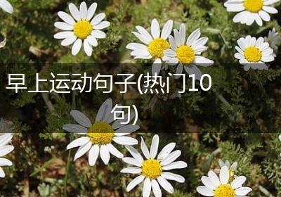 早上运动句子(热门10句)