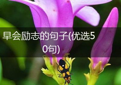 早会励志的句子(优选50句)