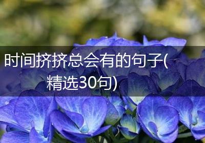 时间挤挤总会有的句子(精选30句)