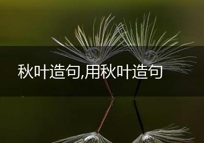 秋叶造句,用秋叶造句
