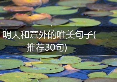 明天和意外的唯美句子(推荐30句)