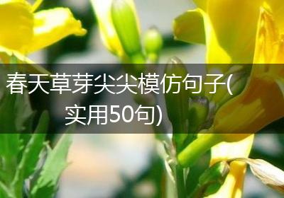 春天草芽尖尖模仿句子(实用50句)