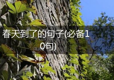 春天到了的句子(必备10句)