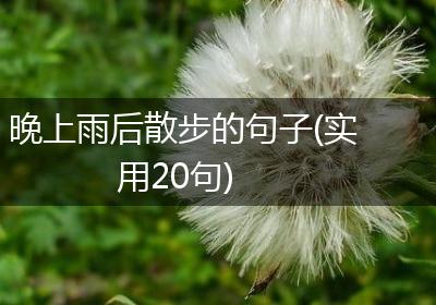 晚上雨后散步的句子(实用20句)