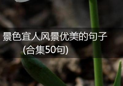景色宜人风景优美的句子(合集50句)
