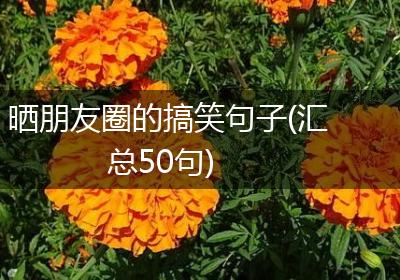 晒朋友圈的搞笑句子(汇总50句)