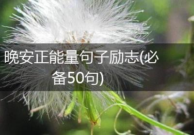 晚安正能量句子励志(必备50句)