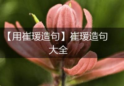 【用崔瑗造句】崔瑗造句大全