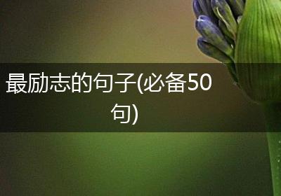 最励志的句子(必备50句)
