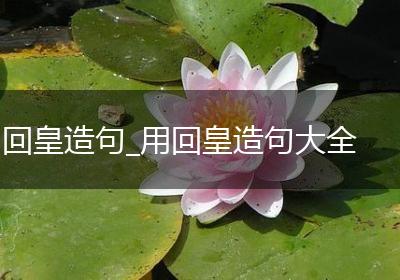 回皇造句_用回皇造句大全