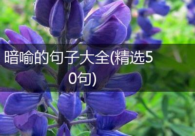 暗喻的句子大全(精选50句)