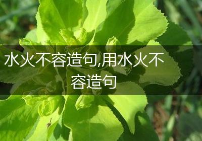 水火不容造句,用水火不容造句