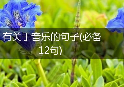 有关于音乐的句子(必备12句)