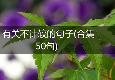 有关不计较的句子(合集50句)