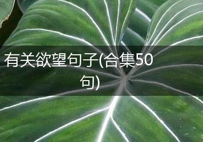 有关欲望句子(合集50句)