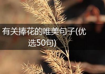 有关捧花的唯美句子(优选50句)