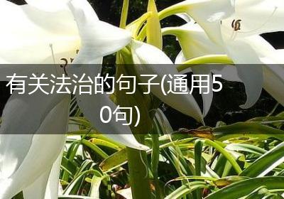 有关法治的句子(通用50句)