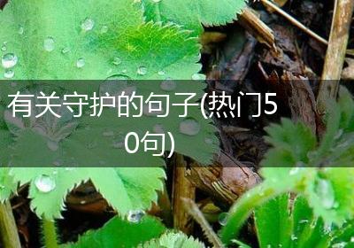 有关守护的句子(热门50句)
