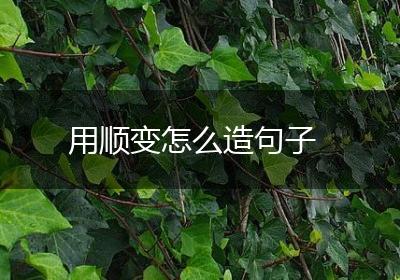 用顺变怎么造句子