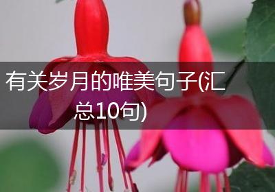 有关岁月的唯美句子(汇总10句)