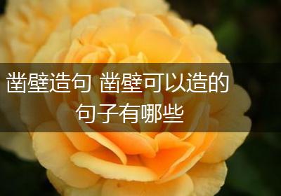 凿壁造句 凿壁可以造的句子有哪些