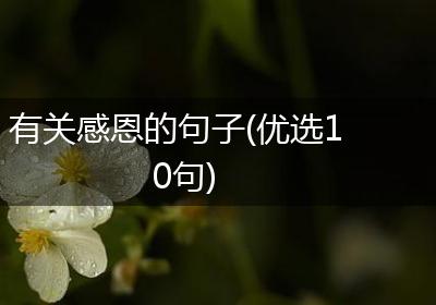 有关感恩的句子(优选10句)