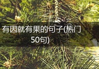 有因就有果的句子(热门50句)