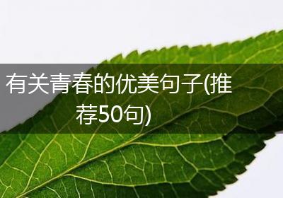 有关青春的优美句子(推荐50句)