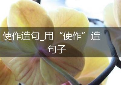 使作造句_用“使作”造句子