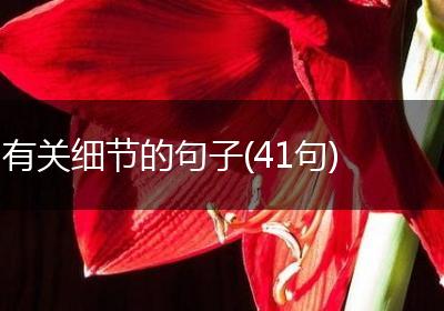 有关细节的句子(41句)