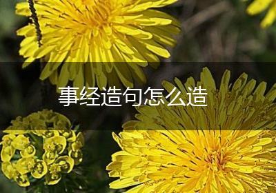 事经造句怎么造