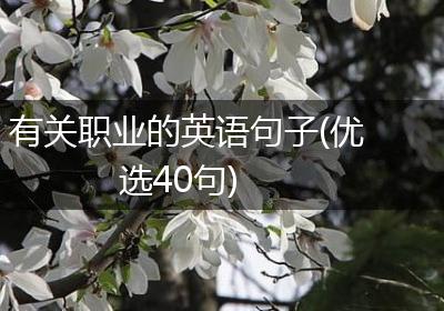 有关职业的英语句子(优选40句)
