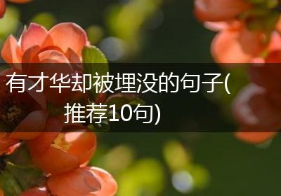 有才华却被埋没的句子(推荐10句)