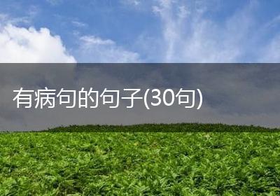 有病句的句子(30句)
