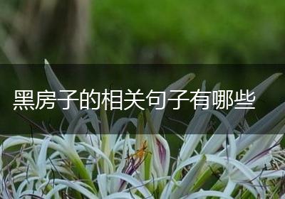 黑房子的相关句子有哪些