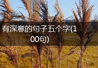 有深意的句子五个字(100句)
