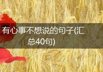 有心事不想说的句子(汇总40句)