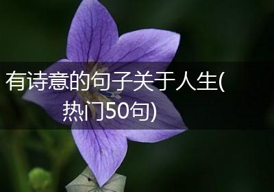 有诗意的句子关于人生(热门50句)